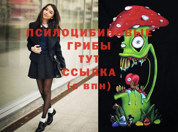 a pvp Вяземский