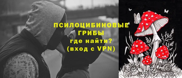 прущая мука Вязники